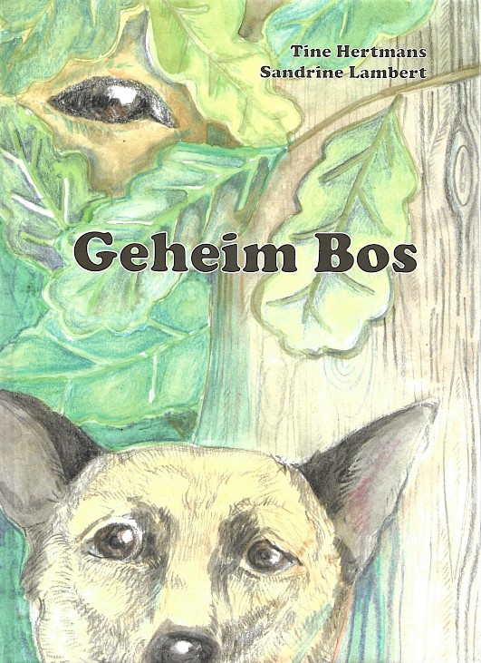 Cover Geheim Bos van Tine Hermans